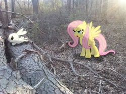 Size: 2592x1944 | Tagged: safe, artist:datnaro, artist:tarindel, artist:tokkazutara1164, angel bunny, fluttershy, angry, forest, irl, leaping, lens flare, photo, ponies in real life, shadow, tree, vector