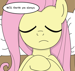 Size: 3747x3531 | Tagged: safe, artist:rainb0wdashie, fluttershy, pegasus, pony, ask lonershy, coffin, eyes closed, funeral, pillow, solo, speech bubble