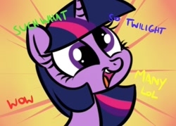 Size: 700x500 | Tagged: safe, artist:killryde, derpibooru import, twilight sparkle, derp, doge, meme, solo, wow