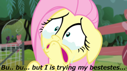 Size: 1280x720 | Tagged: safe, fluttershy, pegasus, pony, female, mare, meme, pink mane, yellow coat