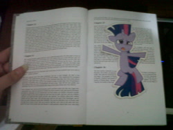 Size: 1600x1200 | Tagged: safe, artist:dm29, derpibooru import, twilight sparkle, bookmark, flat, flattened, paper child, photo, solo, squished