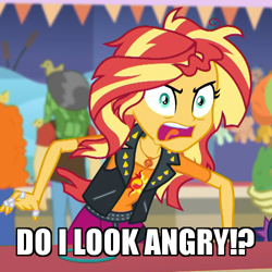 Size: 500x500 | Tagged: safe, edit, edited screencap, screencap, carrot top, golden harvest, sandalwood, sunset shimmer, better together, equestria girls, rollercoaster of friendship, tanks for the memories, angry, cropped, do i look angry, female, geode of empathy, it's not about the parakeet, meme, parakeet