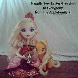 Size: 500x500 | Tagged: safe, applejack, earth pony, pony, apple white, doll, ever after high, text, toy