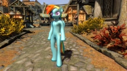 Size: 1920x1080 | Tagged: safe, derpibooru import, rainbow dash, pegasus, pony, semi-anthro, 3d, mod, skyrim, the elder scrolls, whiterun