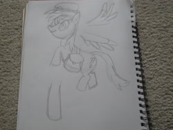 Size: 3648x2736 | Tagged: safe, artist:sb1991, derpy hooves, pony, drawing, legs, mailbag, mailmare, original drawing, traditional art, wings