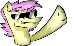 Size: 1024x641 | Tagged: safe, artist:lion2k6, butterscotch, fluttershy, pegasus, pony, rule 63, smiling, sunglasses