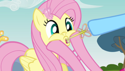 Size: 868x488 | Tagged: safe, edit, edited screencap, screencap, fluttershy, pegasus, pony, key, key of kindness, wat