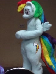 Size: 768x1024 | Tagged: safe, derpibooru import, rainbow dash, backwards cutie mark, fursuit, irl, japan, japan ponycon, photo