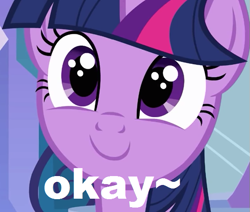 Size: 565x478 | Tagged: safe, derpibooru import, twilight sparkle, okay, okay face, smiling, solo, text edit