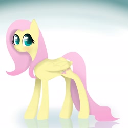 Size: 2048x2048 | Tagged: safe, artist:spacezoon, fluttershy, pegasus, pony, female, mare, pink mane, solo, yellow coat