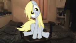 Size: 1862x1047 | Tagged: safe, derpy hooves, pegasus, pony, blonde, blonde mane, blonde tail, female, gray coat, irl, mare, photo, ponies in real life, wings