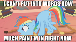 Size: 892x500 | Tagged: safe, derpibooru import, screencap, rainbow dash, pegasus, pony, image macro, meme, pain, solo