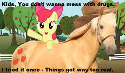 Size: 700x411 | Tagged: safe, edit, apple bloom, applejack, earth pony, horse, pony, cute, drugs, family guy, irl horse, live action applejack, vector
