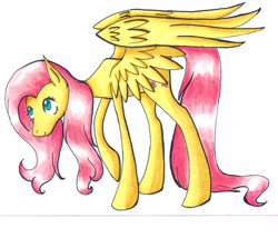 Size: 3500x3000 | Tagged: safe, artist:katrokk, fluttershy, pegasus, pony, female, mare, solo, traditional art