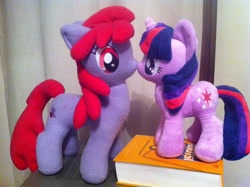 Size: 1024x765 | Tagged: safe, artist:leetmiksu, derpibooru import, berry punch, berryshine, twilight sparkle, irl, photo, plushie