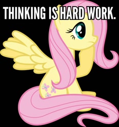 Size: 558x600 | Tagged: safe, artist:parclytaxel, fluttershy, pegasus, pony, image macro, meme, solo, thinking