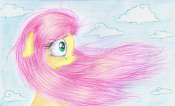 Size: 938x570 | Tagged: safe, artist:kruszyna25, fluttershy, pegasus, pony, crying, shocked, solo, windswept mane