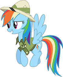 Size: 810x987 | Tagged: safe, artist:anthony60617, derpibooru import, rainbow dash, pegasus, pony, clothes, cutie mark, disguise, female, feminism, hat, pith helmet, rainbow sass, shirt, simple background, solo, tomboy, transparent background, vector