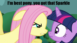 Size: 640x360 | Tagged: safe, derpibooru import, screencap, fluttershy, twilight sparkle, pegasus, pony, magic duel, best pony, caption