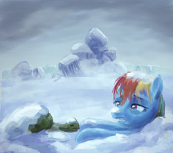 Size: 800x703 | Tagged: safe, artist:hunternif, derpibooru import, rainbow dash, tank, pegasus, pony, tanks for the memories