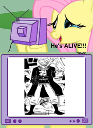 Size: 563x771 | Tagged: safe, fluttershy, pegasus, pony, exploitable meme, meme, obligatory pony, one piece, sabo, tv meme