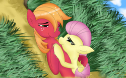 Size: 1024x640 | Tagged: safe, big macintosh, fluttershy, earth pony, pegasus, pony, fluttermac, m1guel1980, male, shipping, stallion, straight