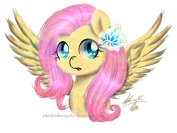 Size: 1600x1200 | Tagged: safe, artist:chichicherry123, fluttershy, pegasus, pony, bust, female, flower, flower in hair, mare, open mouth, portrait, simple background, solo, spread wings, transparent background, wings