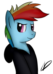 Size: 644x900 | Tagged: safe, artist:neighday, derpibooru import, rainbow dash, pegasus, pony, clothes, hoodie, solo