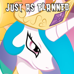 Size: 600x600 | Tagged: safe, princess celestia, alicorn, pony, female, glare, image macro, just as planned, mare, meme, reaction image, smirk, solo