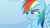 Size: 1280x720 | Tagged: safe, derpibooru import, screencap, rainbow dash, pegasus, pony, father knows beast, annoyed, cute, dashabetes, female, madorable, mare, narrowed eyes, skeptical, solo