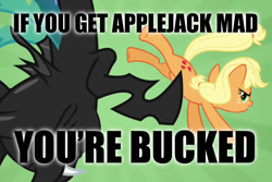 Size: 1080x720 | Tagged: safe, screencap, applejack, changeling, earth pony, pony, a canterlot wedding, bucking, caption, image macro, meme, pun