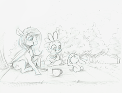 Size: 1280x979 | Tagged: safe, artist:imsokyo, angel bunny, fluttershy, spike, dragon, pegasus, pony, daily life of spike, monochrome, picnic, raised hoof, sitting, sketch, smiling, tea, teapot, traditional art