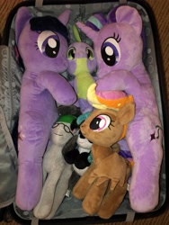 Size: 3024x4032 | Tagged: safe, spike, starlight glimmer, twilight sparkle, oc, oc:front page, oc:marina (efnw), oc:mocha sunrise, everfree northwest, everfree northwest 2019, irl, marina, merchandise, photo