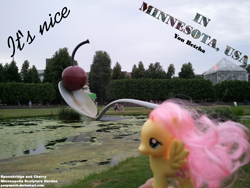 Size: 2000x1500 | Tagged: safe, artist:ponyepoch, fluttershy, brushable, irl, minnesota, photo, ponies around the world, toy