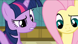 Size: 1366x768 | Tagged: safe, derpibooru import, fluttershy, twilight sparkle, pegasus, pony, reaction, reaction image