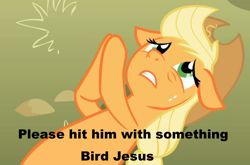 Size: 944x623 | Tagged: safe, applejack, earth pony, pony, applepray, image macro, meme, solo, twitch plays pokémon