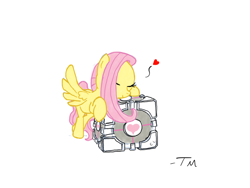 Size: 1024x768 | Tagged: safe, artist:tanmansmantan, fluttershy, pegasus, pony, companion cube, crossover, portal (valve), solo