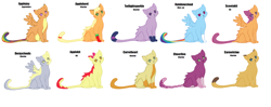 Size: 4240x1680 | Tagged: safe, artist:spaarx, derpibooru import, apple bloom, applejack, caramel, carrot top, cheerilee, derpy hooves, golden harvest, rainbow dash, scootaloo, twilight sparkle, oc, oc:appleherd, oc:applejoy, oc:applekit, oc:caramelclaw, oc:carrotheart, oc:cheerilee (warrior cats au), oc:derpyclouds, oc:rainbowcloud, oc:scootakit, oc:twilightsparkle (warrior cats au), cat, pegasus, pony, catified, crossover, female, kitten, magical lesbian spawn, mare, offspring, parent:applejack, parent:rainbow dash, parents:appledash, species swap, warrior cats