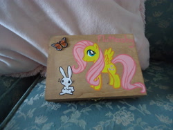 Size: 4320x3240 | Tagged: safe, artist:lindyart, angel bunny, fluttershy, pegasus, pony, box, custom