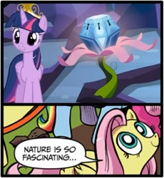 Size: 500x543 | Tagged: safe, derpibooru import, idw, fluttershy, twilight sparkle, twilight sparkle (alicorn), alicorn, pegasus, pony, princess twilight sparkle (episode), blue coat, blue eyes, dialogue, exploitable meme, female, looking up, mare, meme, memeception, multicolored tail, mystery box of plot importance, nature is so fascinating, obligatory pony, pink coat, pink mane, smiling, speech bubble, wings, yellow coat