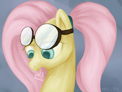 Size: 1024x768 | Tagged: safe, artist:med2301, fluttershy, pegasus, pony, female, goggles, mare, solo