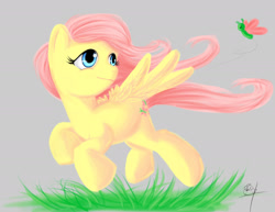 Size: 1650x1275 | Tagged: safe, artist:xtreme9nahual, fluttershy, butterfly, pegasus, pony, female, mare, solo