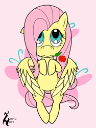 Size: 720x960 | Tagged: safe, artist:zanclife, fluttershy, pegasus, pony, female, mare, mouth hold, pink mane, yellow coat