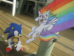 Size: 1152x864 | Tagged: safe, artist:spectrum-sparkle, derpibooru import, rainbow dash, crossover, irl, papercraft, photo, sonic the hedgehog, sonic the hedgehog (series), toy