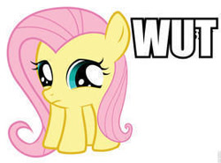 Size: 270x200 | Tagged: safe, fluttershy, pegasus, pony, abomination, crab pony, impact font, meme, reaction image, solo, wat, what has science done