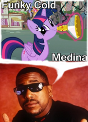 Size: 792x1096 | Tagged: safe, derpibooru import, twilight sparkle, twilight sparkle (alicorn), alicorn, pony, princess twilight sparkle (episode), exploitable meme, female, flashback potion, mare, meme, memeception, tone loc, twiface, wrong neighborhood