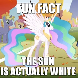 Size: 819x822 | Tagged: safe, screencap, princess celestia, alicorn, pony, fall weather friends, fun fact, image macro, meme, shown their work