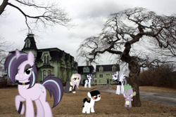Size: 639x427 | Tagged: safe, artist:cheezedoodle96, artist:hunterz263, artist:jhayarr23, artist:slb94, artist:undeadponysoldier, fluttershy, inky rose, moonlight raven, spike, starlight glimmer, oc, oc:foalita, dragon, earth pony, pegasus, pony, unicorn, alternate hairstyle, angry, clothes, collar, dead tree, dead trees, dragons in real life, dress, ear piercing, earring, edgelight glimmer, eyeliner, female, filly, fluttergoth, goth, gothic eyeliner, gothlight glimmer, house, irl, jewelry, lidded eyes, looking at you, makeup, male, mansion, mare, photo, piercing, ponies in real life, raised hoof, teenage glimmer, tree, victorian, victorian mansion