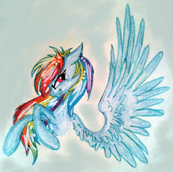 Size: 1521x1516 | Tagged: safe, artist:mysteriousshine, derpibooru import, rainbow dash, pegasus, pony, bust, female, grin, mare, portrait, smiling, solo, spread wings, traditional art, wings