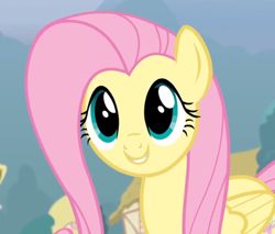 Size: 415x353 | Tagged: safe, fluttershy, pegasus, pony, cute, female, mare, pink mane, shyabetes, yellow coat